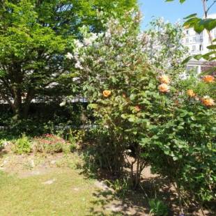 Фотографии мини отеля 
            La Romantique