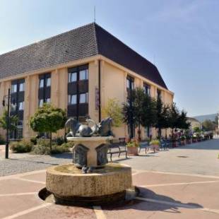 Фотографии гостиницы 
            Hotel Irottkö