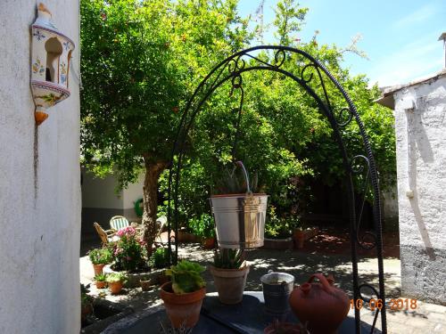 Фотография гостевого дома El Escudo de Calatrava