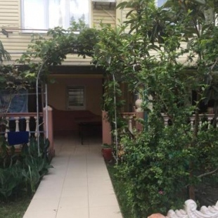 Фотография мини отеля Кот