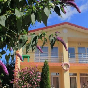 Фотография гостевого дома Guest House Moryachka