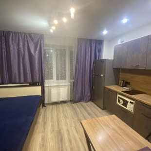 Фотография квартиры Квартира на Тентюковской 308(2)