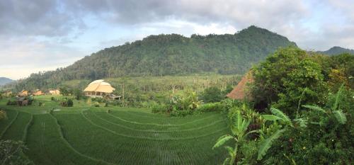 Фотография гостевого дома Nirarta Center For Living Awareness