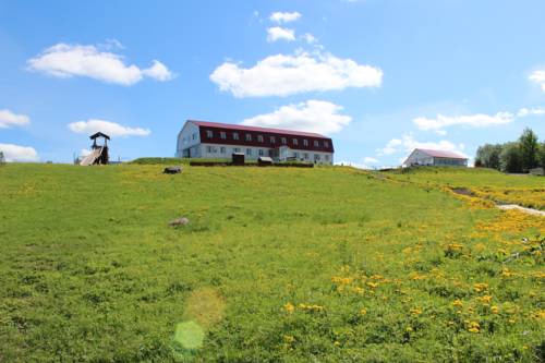 Фотография гостиницы Лесная гавань