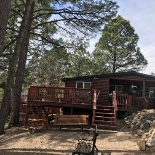 Фотографии гостевого дома
Gonzales Cozy Little Bear Cabin