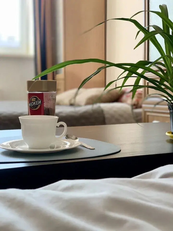 Фотография квартиры Квартира на Каменской Улице 103