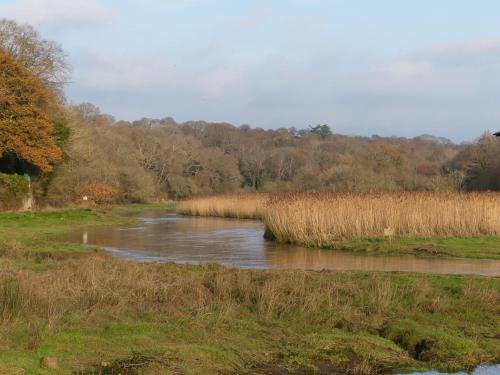 Фотография гостевого дома Maison près de l'Océan
