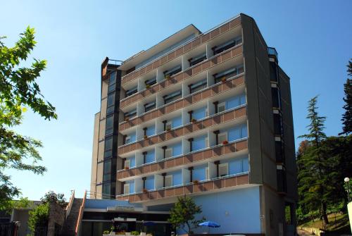 Фотография гостиницы Hotel Michelangelo