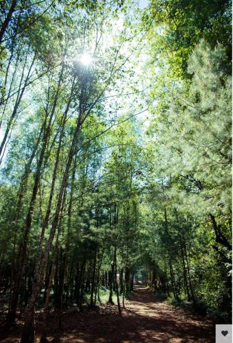 Фотография гостиницы Boscoso Hotel Boutique