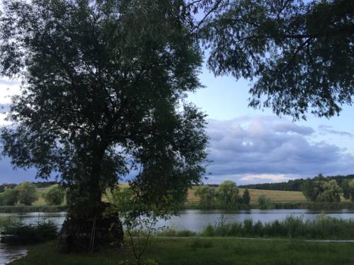 Фотографии мини отеля
Горбовичи