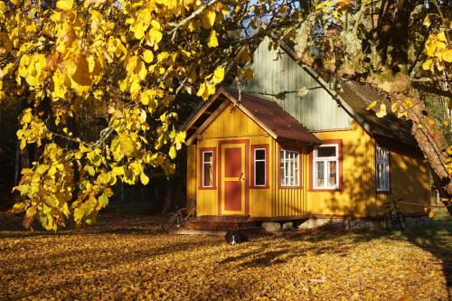 Фотография кемпинга Nedsaja metsamaja ja saun
