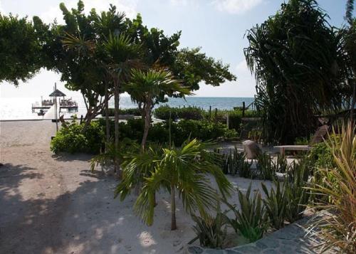 Фотография гостевого дома Laura's Lookout