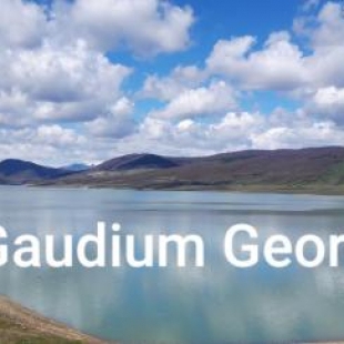 Фотография мини отеля GAUDIUM HOUSE