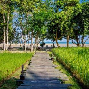 Фотографии гостиницы
Koh Yao Yai Village - SHA Extra Plus