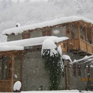 Фотография гостевого дома Галерея