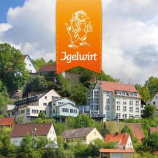 Фотографии гостиницы 
            Berggasthof Hotel Igelwirt