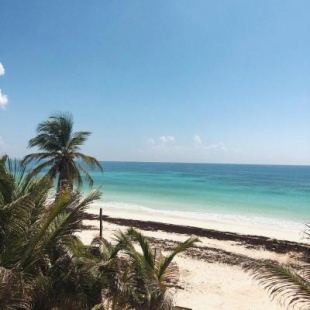 Фотография кемпинга Chavez Eco Beach Camping and Cabañas