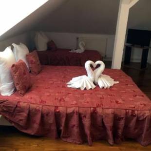 Фотографии гостевого дома
Pensiunea Vila Gabriel