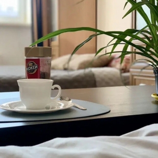 Фотография квартиры Квартира на Каменской Улице 103