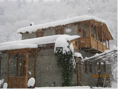 Фотография гостевого дома Галерея