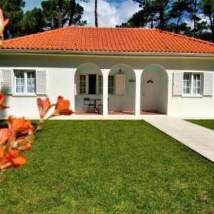 Фотография гостевого дома CASA AROEIRA - Beach bungalow near Lisbon