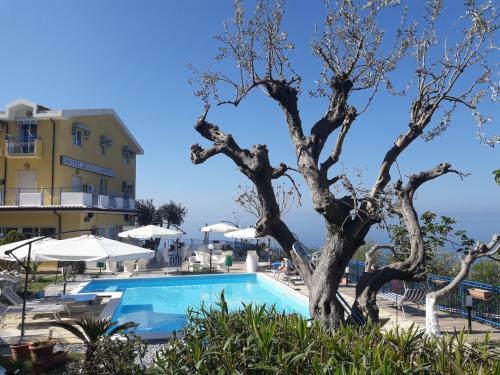 Фотография гостиницы Hotel Piccolo Mondo