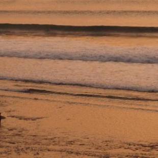 Фотографии мини отеля
Willy Homestay