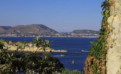 Фотография апарт отеля Pharus miseni B&B