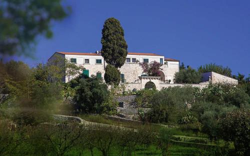 Фотография базы отдыха Masseria Montepaolo Dimora di Charme