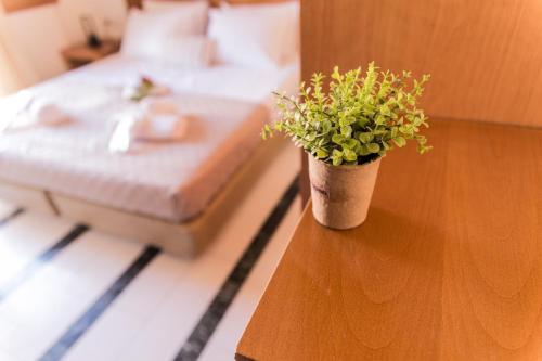 Фотография апарт отеля Irene Suite Chania