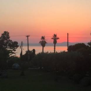 Фотографии гостевого дома
Xsoma Villa