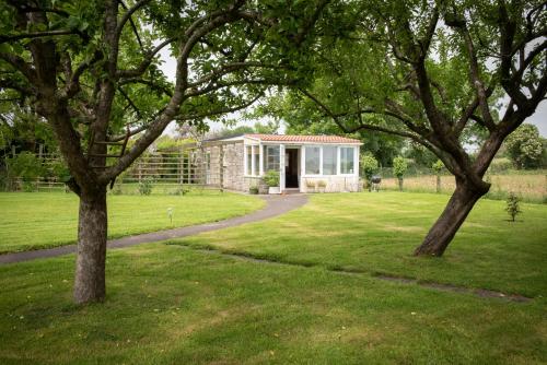 Фотография гостевого дома The Studio