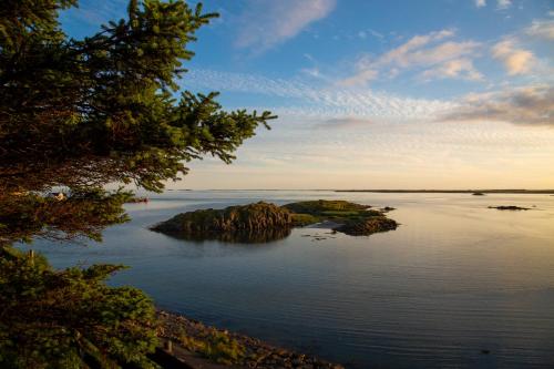 Фотография мини отеля Blómasetrið Homestay