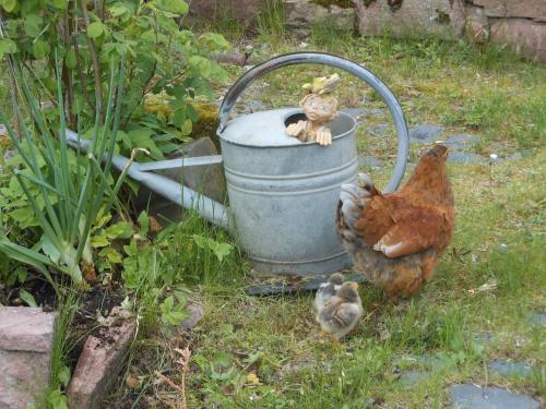 Фотография мини отеля L'Atelier de Gisèle