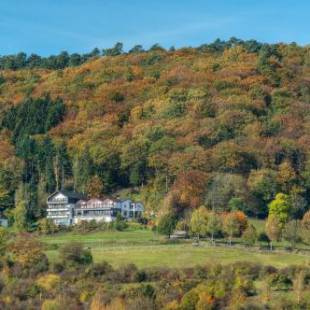 Фотографии гостиницы 
            Waldhotel Sonnenberg