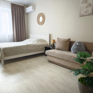 Фотография квартиры Квартира Просторная однокомнатная