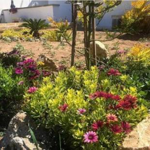 Фотографии гостевого дома
L'ANTICA PIETRA Casa Vacanza Salento