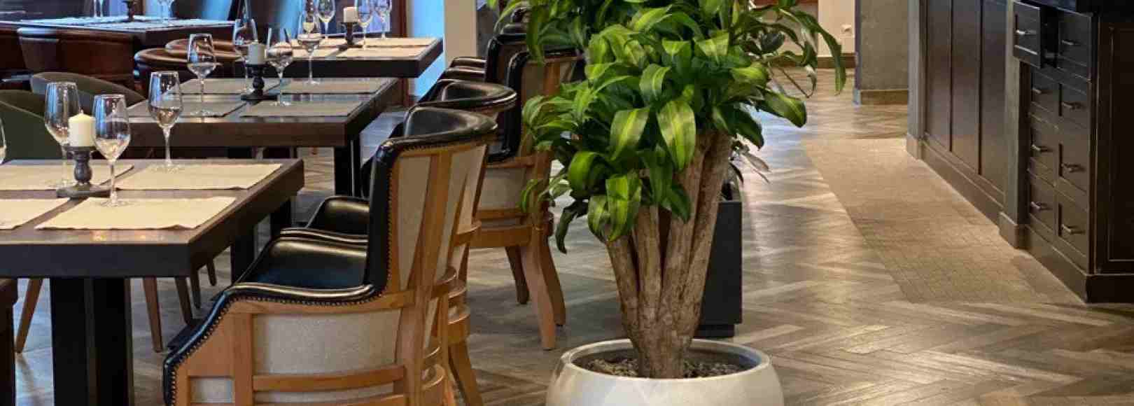 Фотография банкетного зала Сенкевич Зал на 1 этаже