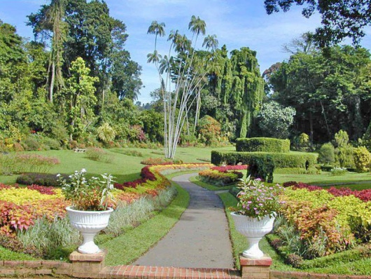 Фотографии достопримечательности 
            Ботанический сад