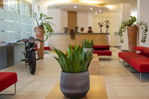 Фотография гостиницы Hotel Remilia