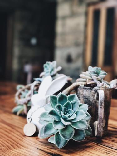 Фотография гостевого дома Makoadi Farms Guesthouse