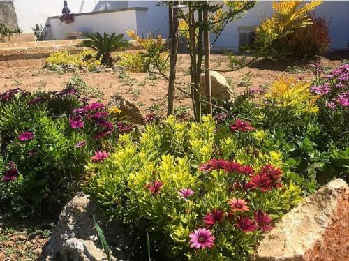 Фотография гостевого дома L'ANTICA PIETRA Casa Vacanza Salento