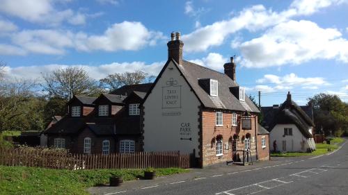 Фотография мини отеля True Lovers Knot