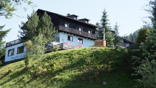 Фотография гостиницы Blue Mountain Hotel