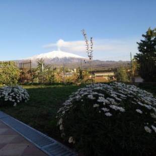 Фотографии мини отеля
Good Morning Etna