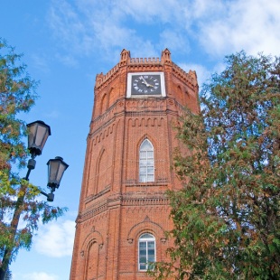 Фотография памятника архитектуры Елецкие куранты