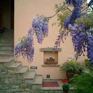 Фотографии мини отеля
Il Glicine