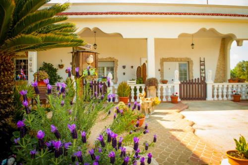 Фотография мини отеля B&B Pietrafitta