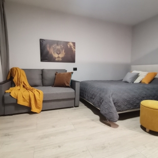 Фотография квартиры Апартаменты Северное Сияние Мельникайте 83 - 350