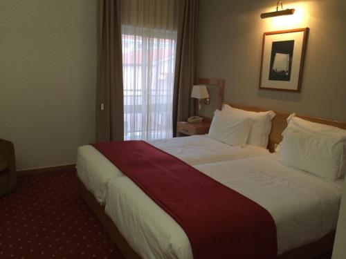 Фотография гостиницы Hotel Rainha D. Amélia, Arts & Leisure